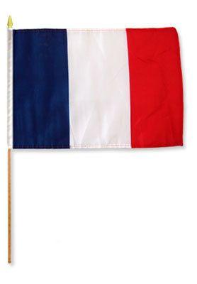 France Stick Flag - 12 x 18 in