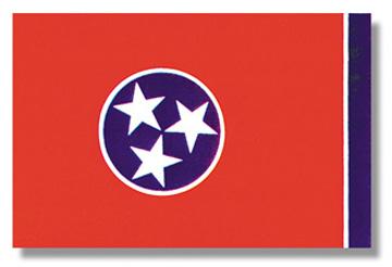 Tennessee Stick Flag - 12 x 18 in