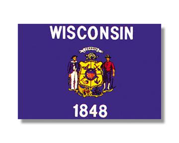 Wisconsin Stick Flag - 12 x 18 in