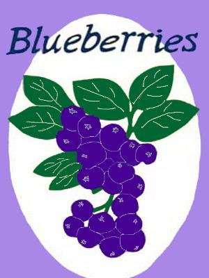 Blueberries Flag on Lilac - 3 x 4.5 ft