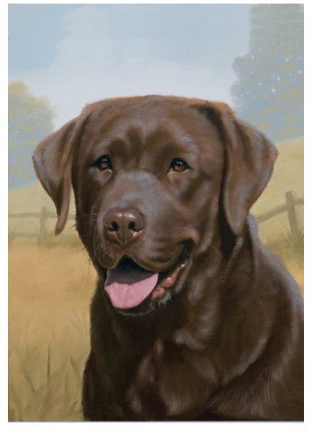 Labrador Retriever - chocolate - 12 x 17 in