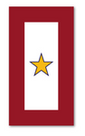 Magnet - Gold Service Star - 1 star