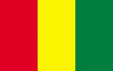 Guinea Flag