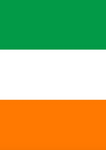 Ireland Flag - printed poly - 13 x 18.5 in