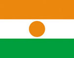 Niger Flag