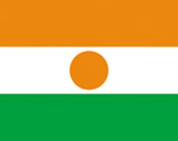 Niger Flag