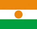 Niger Flag