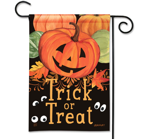 Pumpkin Eyes BreezeArt® Flag - 12.5 x 18 in