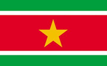 Suriname Flag