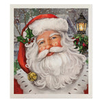 Checkered Santa Swedish Dishcloth