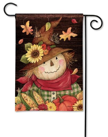 Autumn Scarecrow BreezeArt® Flag - 12.5 x 18 in