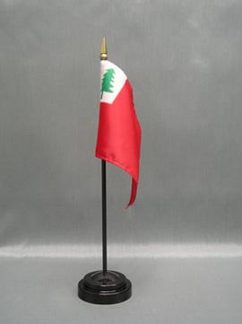 Continental Stick Flag - 4 x 6 in (bases sold separately)
