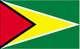 Guyana Flag