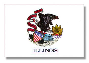Illinois Stick Flag - 12 x 18 in