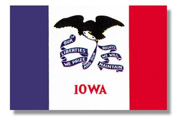 Iowa Stick Flag - 12 x 18 in