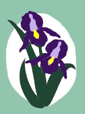 Iris in Oval Frame Garden Flag on Mint - 12 x 18 in