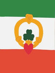Irish w/Claddagh Flag on Kelly White Orange- 3 x 4.5 ft