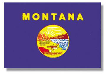 Montana Stick Flag - 12 x 18 in