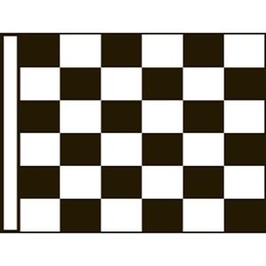 Checkered Racing Flag - Open Canvas 24 x 30 in