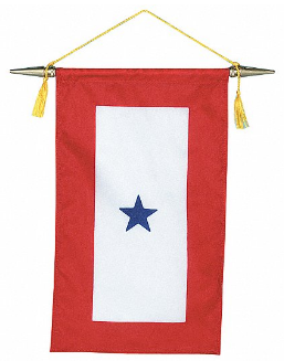 Service Star Flag - 1 Blue Star - Nylon - 8 x 15 in with hanger bar
