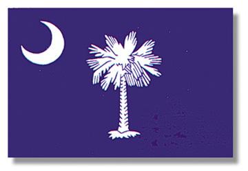 South Carolina Stick Flag - 12 x 18 in