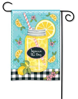 Squeeze the Day BreezeArt® Flag - 12.5 x 18 in