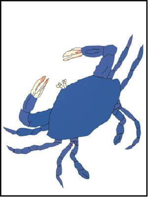 Blue Crab Flag on White - 3 x 4.5 ft