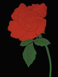 Rose Flag on Black - 12 x 18 in