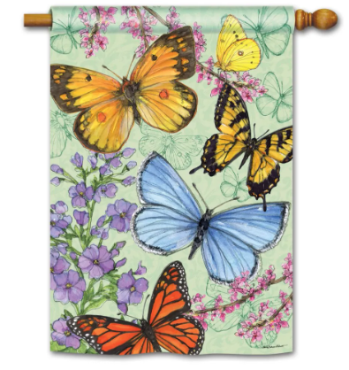 Butterfly Dance BreezeArt® Flag - 28 x 40 in