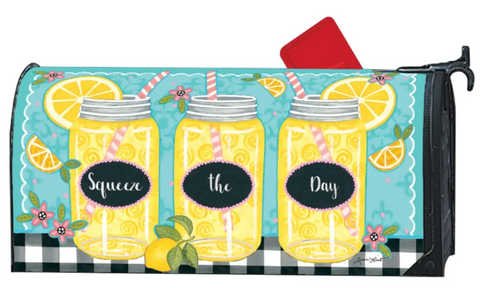 Squeeze the Day MailWraps® Mailbox Cover