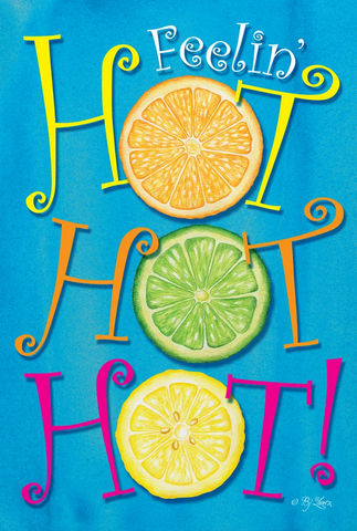 Hot Hot Hot Flag - 12.5 x 18 in